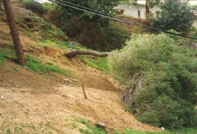 מורדות גן הקופים כפי שצולמו לפני 12 שנה